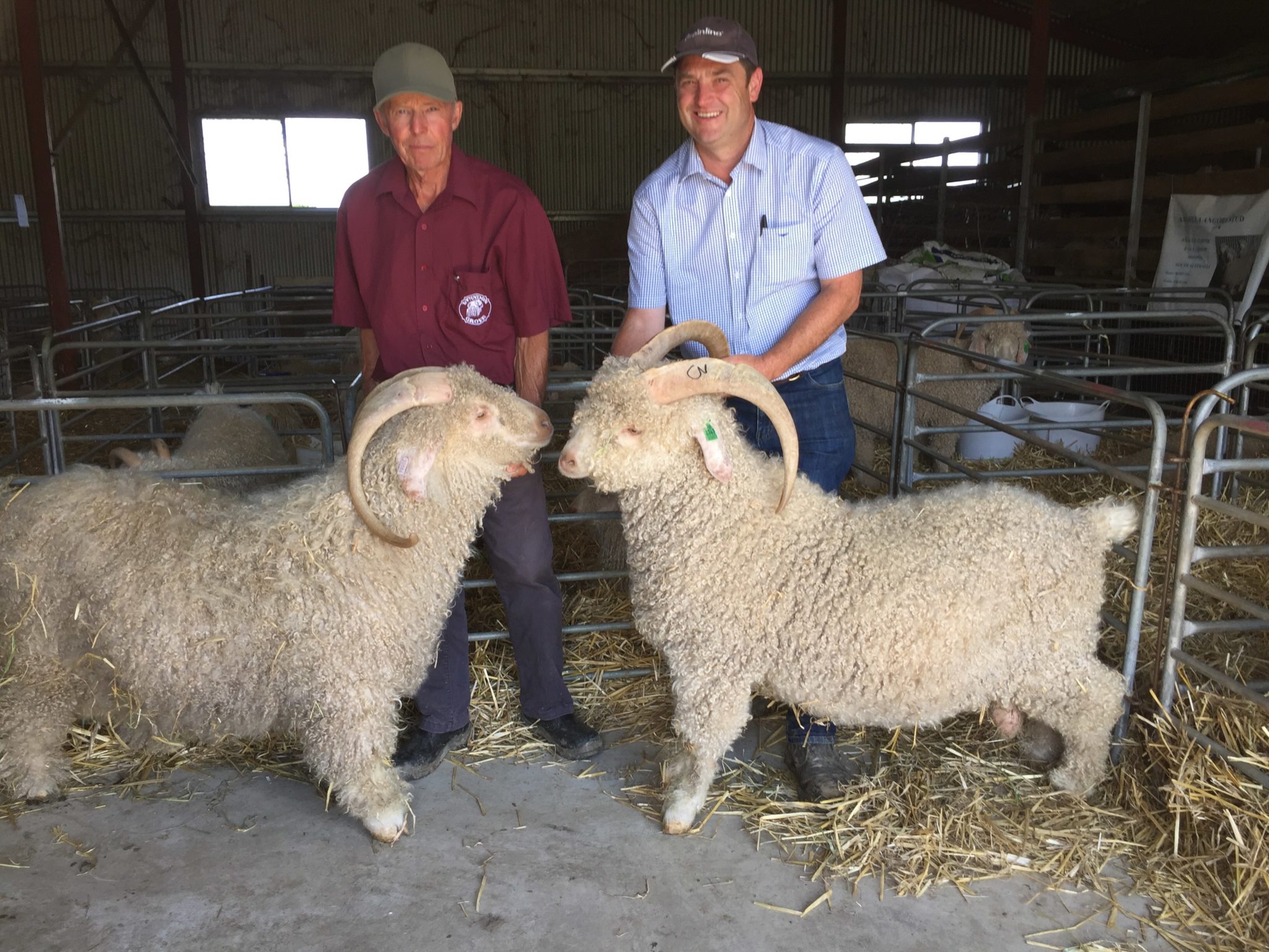 News Mohair Australia