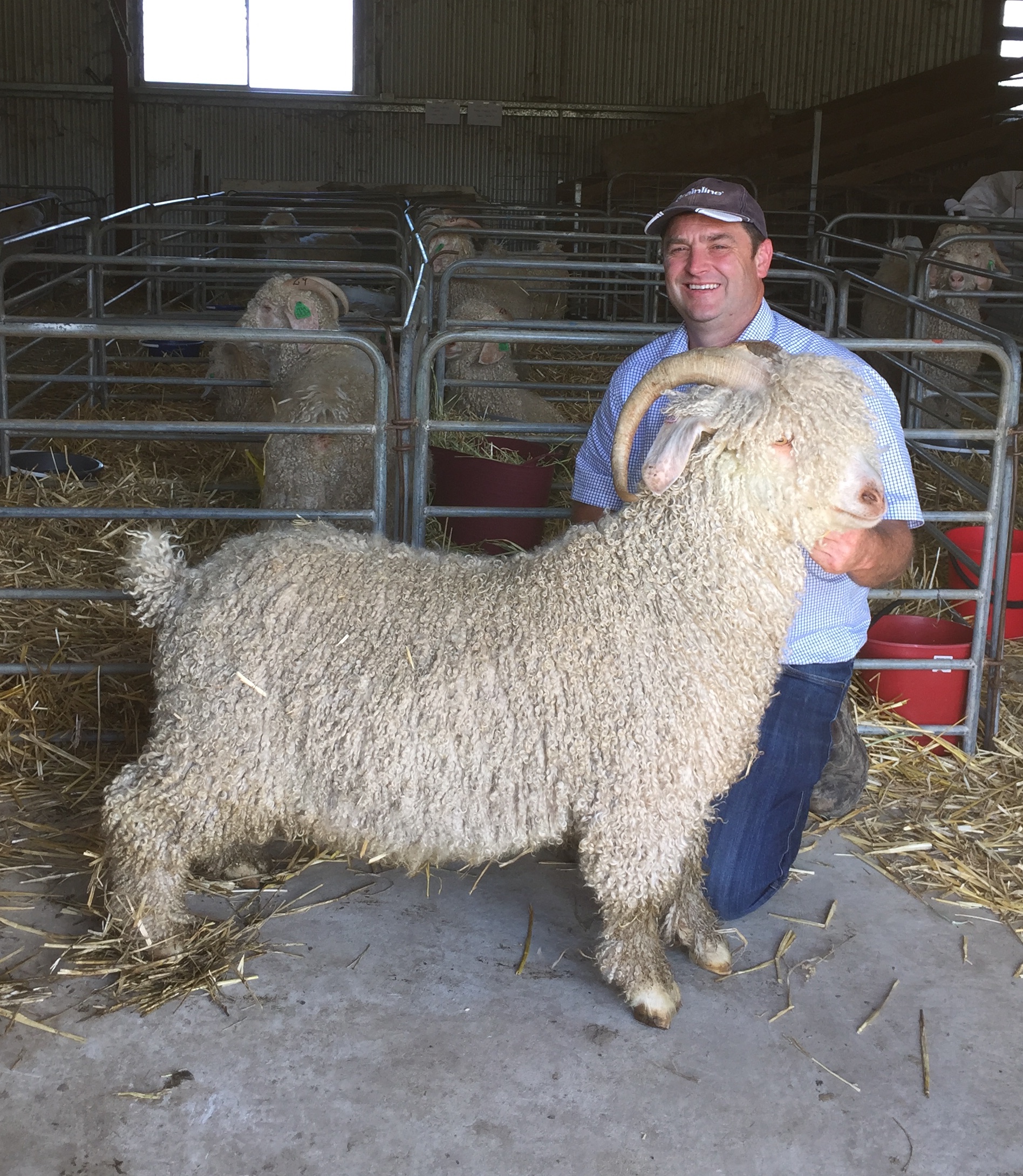 News Mohair Australia